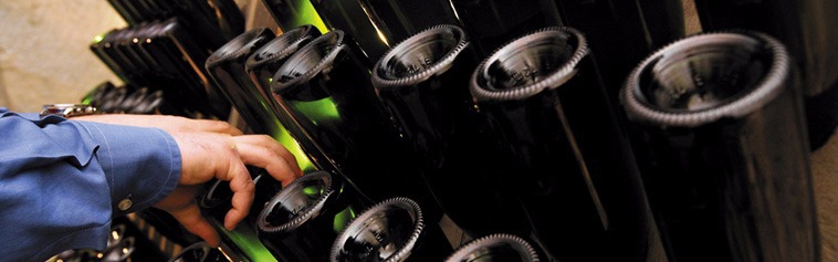 i nostri vini i nostri vini